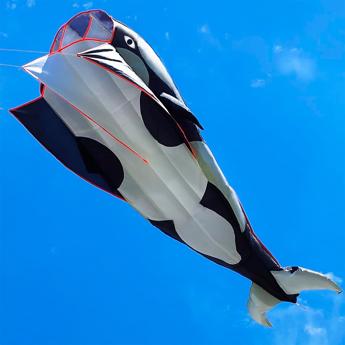 Miniatura 8 de Cometa Ballena 3D Gigante COM-2-3